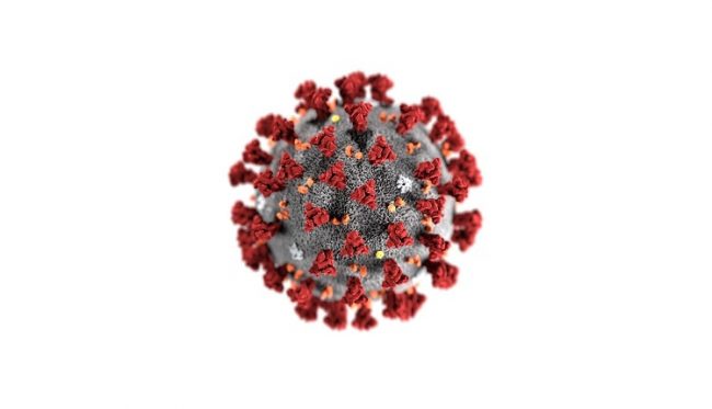 India reports more than 16,103 new cases in the last 24 hours